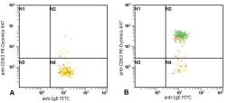 Mouse Anti-Human IgE antibody [BE5] (FITC). GTX30876
