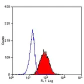 Anti-EMR2 antibody [2A1] used in Flow cytometry (FCM). GTX31227
