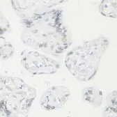 Anti-CREM antibody used in IHC (Paraffin sections) (IHC-P). GTX32538