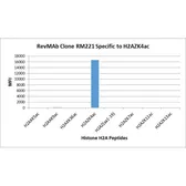 Anti-Histone H2A.Z (Acetyl Lys4) antibody [RM221] used in  (). GTX33591