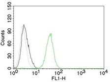 Anti-CD31 antibody [C31.7] used in Flow cytometry (FCM). GTX34489