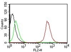 Anti-CD63 antibody [NKI/C3] used in Flow cytometry (FACS). GTX34538