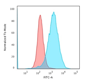 Anti-CD71 antibody [TFRC/1059] used in Flow cytometry (FCM). GTX34548