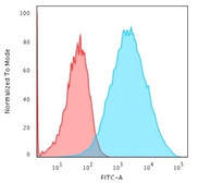 Anti-EpCAM antibody [EGP40/1555R] used in Flow cytometry (FACS). GTX34707