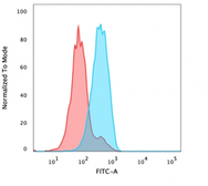 Anti-FOXA1 antibody [FOXA1/1241] used in Flow cytometry (FACS). GTX34735