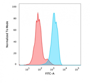 Anti-FOXA1 antibody [FOXA1/1518] used in Flow cytometry (FACS). GTX34739