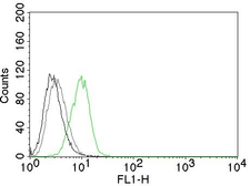 Anti-p27 Kip1 antibody [DCS-72.F6] used in Flow cytometry (FACS). GTX34931