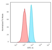 Anti-PCNA antibody [PCNA/694] used in Flow cytometry (FACS). GTX34964