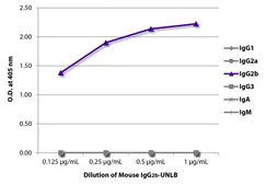 Mouse IgG2b isotype control [A-1]. GTX35023