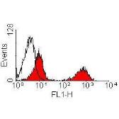 Anti-T Lymphocytes antibody [KEN-5] used in Flow cytometry (FCM). GTX38978