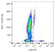Anti-CD21 antibody [LT21] (PE) used in Flow cytometry (FCM). GTX41346