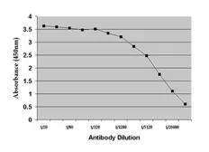 Anti-Dehydroepiandrosterone antibody [DHEA(-3):1-19.1 (BGN/117/1191)] used in ELISA (ELISA). GTX41444