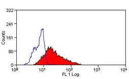 Anti-p22phox antibody [CS9] used in Flow cytometry (FCM). GTX41562