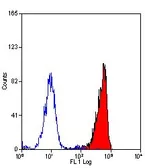 Anti-C5a R1 antibody [10/92] used in Flow cytometry (FCM). GTX41772