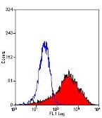Anti-DC-SIGN antibody [MR-1] (Low endotoxin, azide free) used in Flow cytometry (FACS). GTX42261