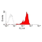 Anti-CD2 antibody [Mac288] used in Flow cytometry (FCM). GTX42302