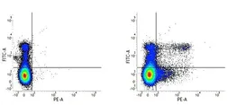 Anti-Ly6c antibody [ER-MP20] (PE) used in Flow cytometry (FCM). GTX42957