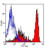 Anti-Ly-6B.2 antibody [7/4] (PE) used in Flow cytometry (FCM). GTX42959