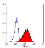 Anti-CD71 antibody [DF1513] (PE) used in Flow cytometry (FCM). GTX43030