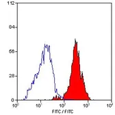 Anti-Integrin beta 3 antibody [JM2E5] (FITC) used in Flow cytometry (FCM). GTX43357
