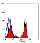 Anti-SIRP alpha antibody [BL1H7] (FITC) used in Flow cytometry (FCM). GTX43365