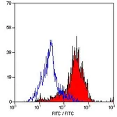 Anti-MSR1 antibody [2F8] (FITC) used in Flow cytometry (FACS). GTX43691