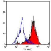 Anti-MSR1 antibody [2F8] (FITC) used in Flow cytometry (FCM). GTX43692