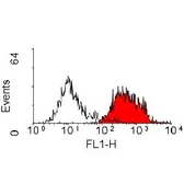 Anti-CD163 antibody [ED2] (FITC) used in Flow cytometry (FCM). GTX43731