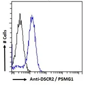 Anti-PSMG1 antibody, C-term used in Flow cytometry (FACS). GTX47556