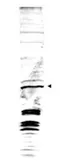 Anti-Swi6 antibody used in Western Blot (WB). GTX48740