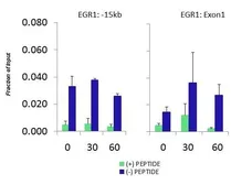 Anti-MED25 antibody, N-term used in ChIP assay (ChIP assay). GTX49103