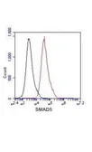 Anti-SMAD5 antibody [4B10-B10-B6] used in Flow cytometry (FACS). GTX49219