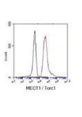 Anti-TORC1 antibody [3D7-E5-D9] used in Flow cytometry (FACS). GTX49232