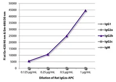 Rat IgG2b isotype control (APC). GTX49387