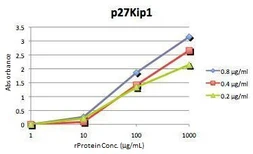 p27 Kip1 ELISA Pair. GTX500006