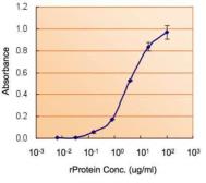 Nanog ELISA Pair. GTX500017