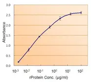 Rad9 ELISA Pair. GTX500028