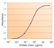 Fumarate hydratase ELISA Pair. GTX500033