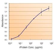 Ferritin ELISA Pair. GTX500035