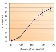 Ferritin ELISA Pair. GTX500035