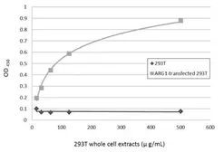 Arginase 1 ELISA Pair. GTX500038