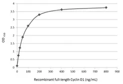 Cyclin D1 ELISA Pair. GTX500039