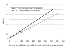 SARS-CoV-2 (COVID-19) Spike RBD ELISA Pair [HL1014 / HL1003]. GTX500046