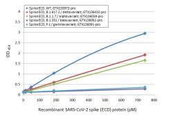 SARS-CoV-2 (COVID-19) Spike RBD ELISA pair [HL1014 / HL1004]. GTX500047
