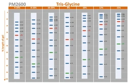 Trident Prestained Protein Ladder (High Range). GTX50875