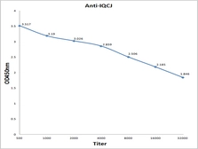 Anti-IQCJ antibody used in ELISA (ELISA). GTX52020