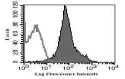 Anti-Interferon gamma Receptor 1 antibody [MAB0830] used in Flow cytometry (FCM). GTX52418