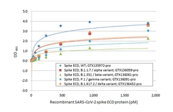 SARS-CoV-2 (COVID-19) Spike RBD Protein Sandwich ELISA Kit. GTX536267