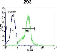 Anti-Galectin 9B antibody used in Flow cytometry (FCM). GTX53635
