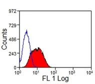 Anti-TIM-3 antibody [RMT3-23] (FITC) used in Flow cytometry (FACS). GTX54055